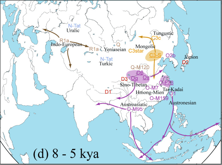 中国人の先祖_(d)