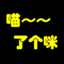 喵～～了个咪